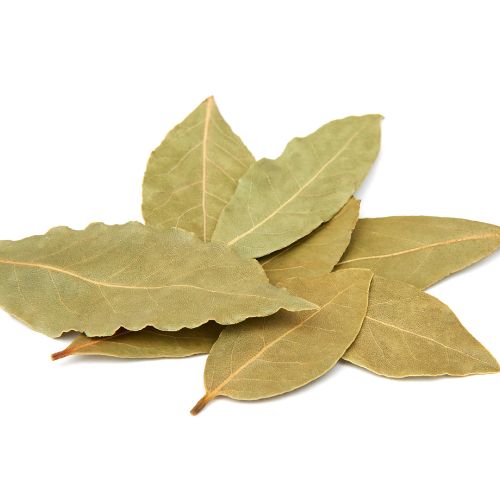 Bay Leaf