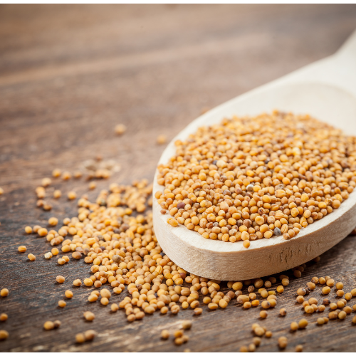 Mustard Seeds